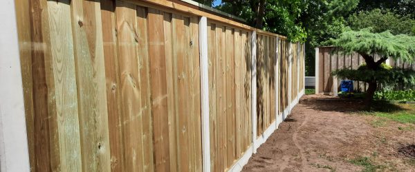 PHOTO-2022-07-05-18-40-59 hekwerk tuin